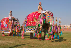 elephant festival in jaipur